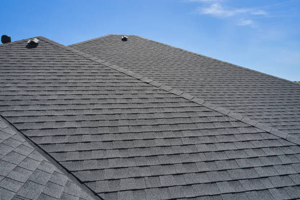 Best Roof Coating and Sealing  in Horizon West, FL